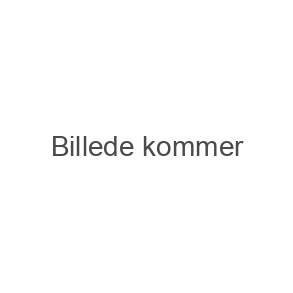 For elever startet i 1.g 2019