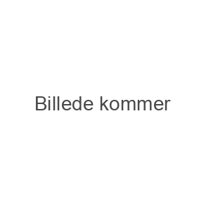 For elever startet i 1.g 2019